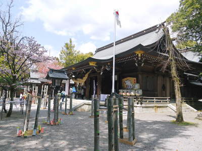 菊池公園、菊池神社の桜photoコレクション 2019_a0254656_19073092.jpg