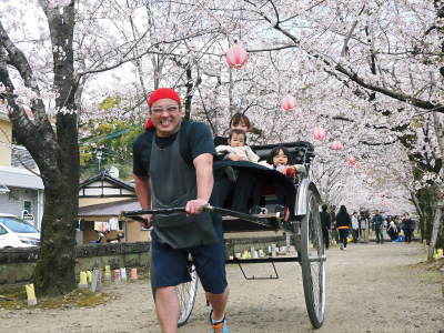 菊池公園、菊池神社の桜photoコレクション 2019_a0254656_19165507.jpg