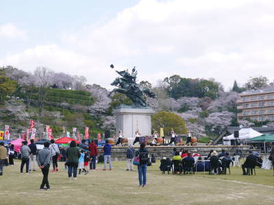 菊池公園、菊池神社の桜photoコレクション 2019_a0254656_19215832.jpg