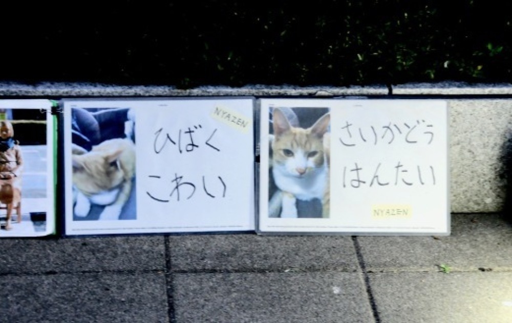 b0242956_10343916.jpeg