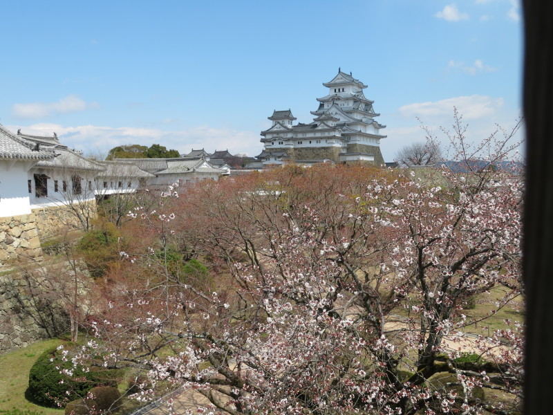 春の姫路城、城を中心としたまちづくり_f0129557_22522279.jpg