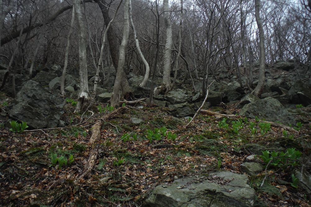 c0294658_20512822.jpg