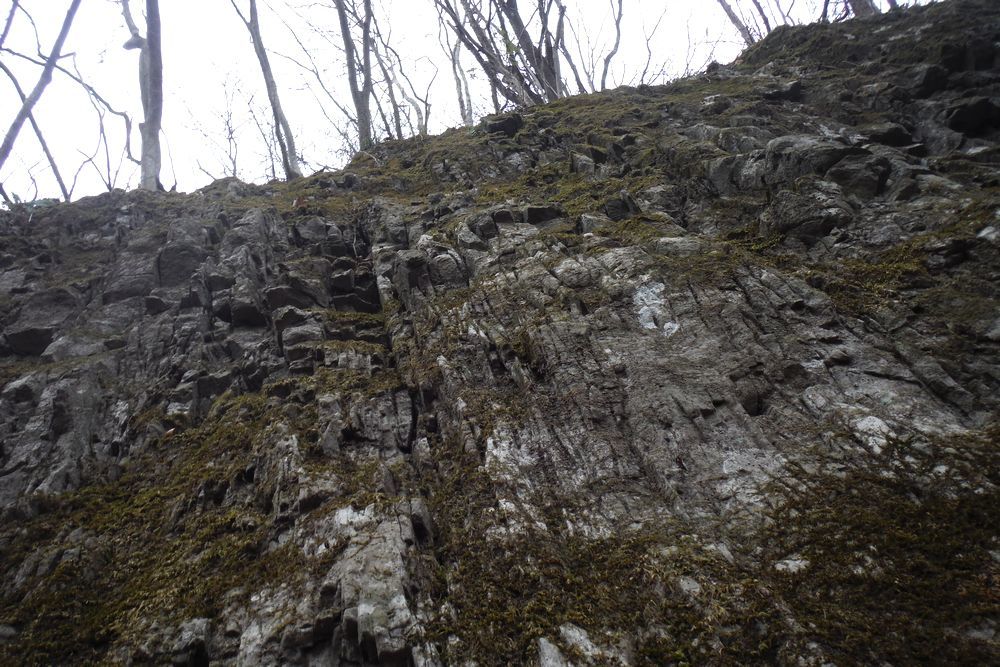 c0294658_21015146.jpg
