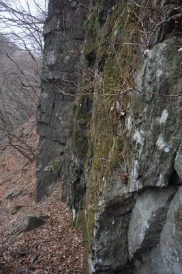 c0294658_21131688.jpg