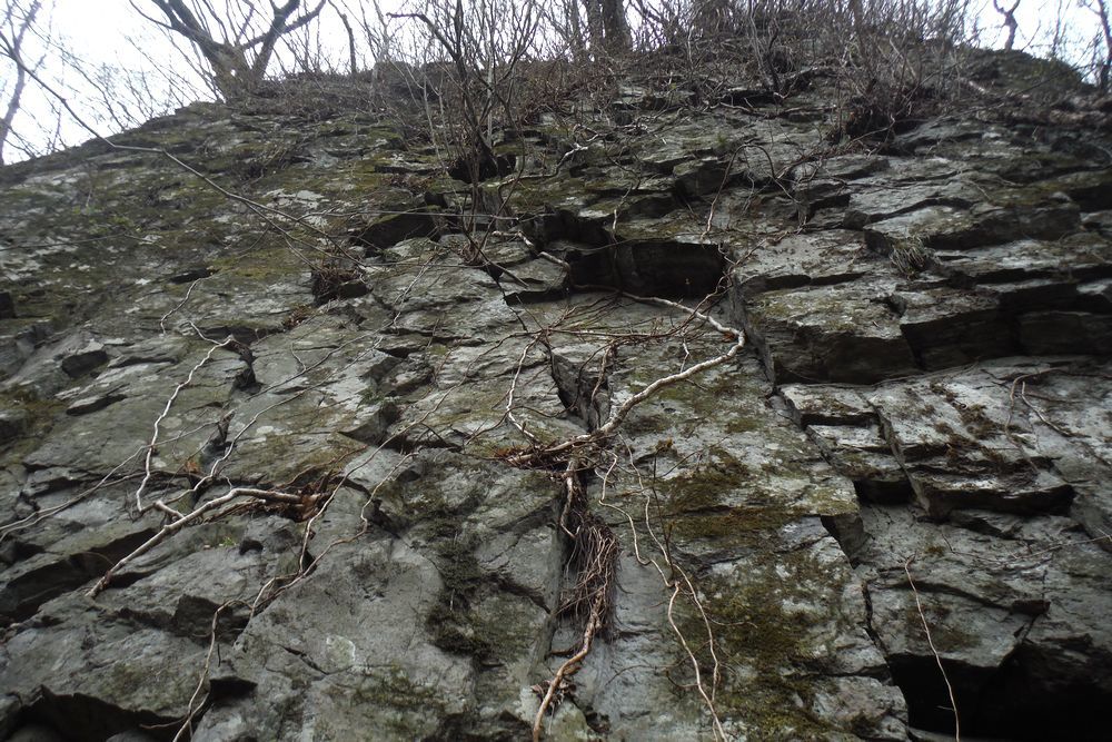 c0294658_21245870.jpg