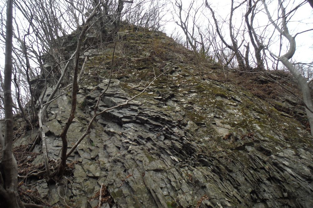 c0294658_21250669.jpg