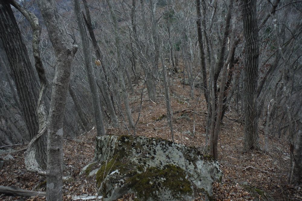 c0294658_21323907.jpg