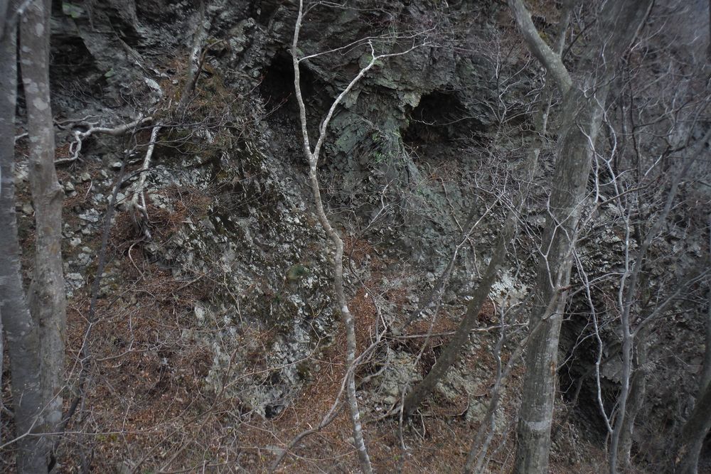 c0294658_21394886.jpg