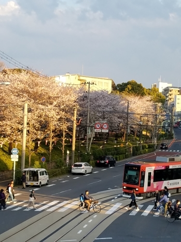 洋裁仲間と持ち寄りランチ♪_d0034659_20425279.jpg