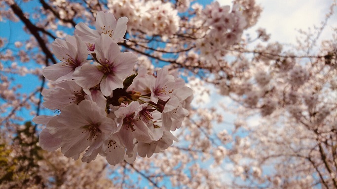 準備完了!!!!_b0060363_21304923.jpeg
