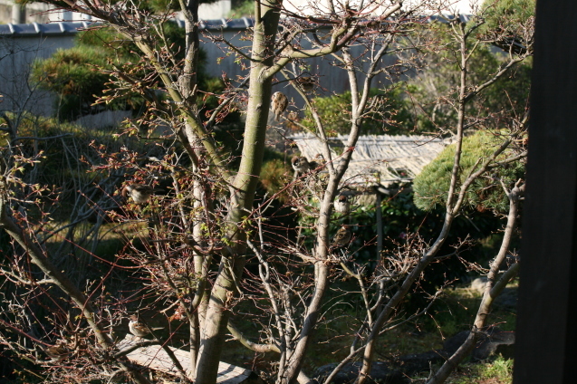 c0331864_21232699.jpg