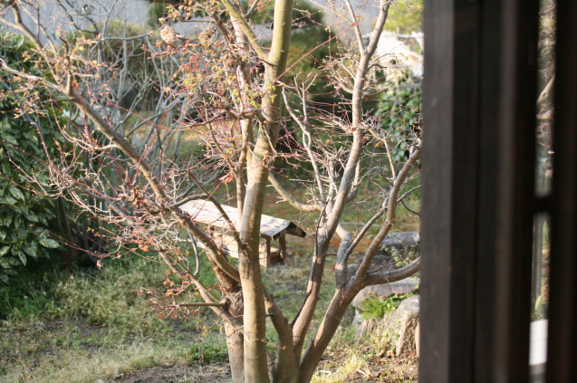 c0331864_21351132.jpeg