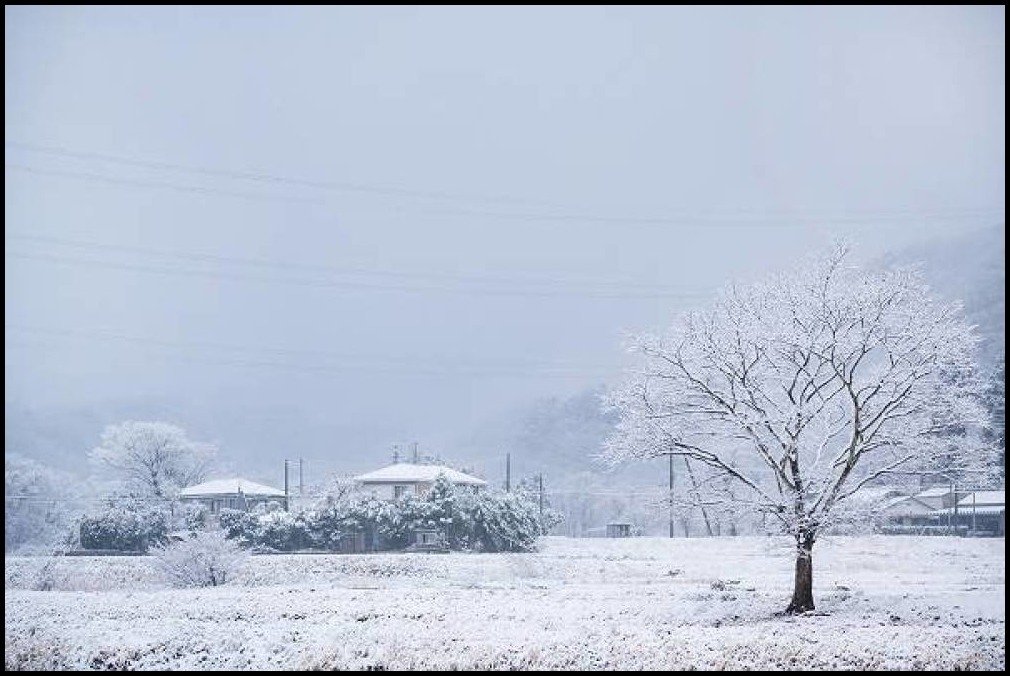 三月の雪_e0271864_07533655.jpg