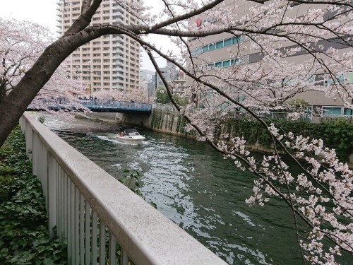 c0100865_06065236.jpg