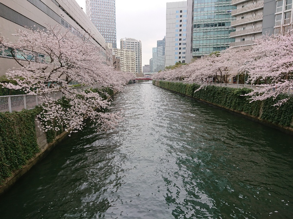 c0100865_06065256.jpg