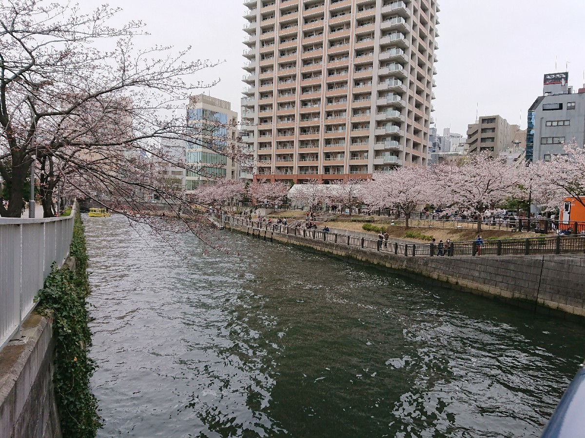 c0100865_06065273.jpg