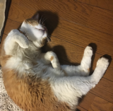 f0363168_08010635.png