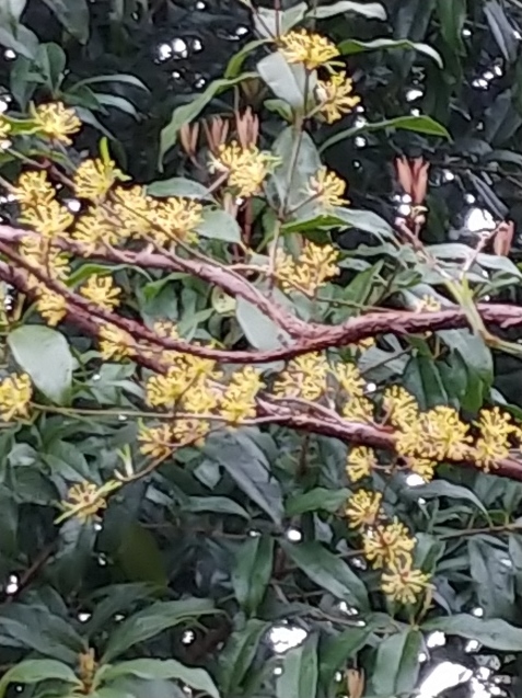 c0162773_17300510.jpg