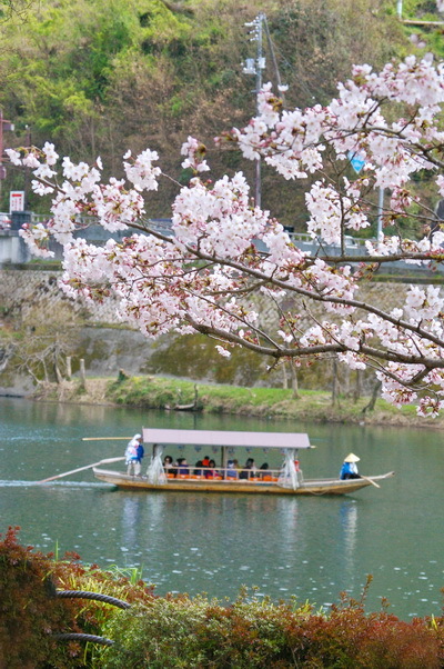 錦帯橋の桜_d0327373_17060728.jpg