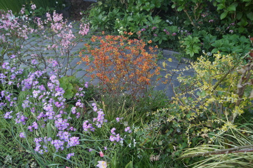 e0181373_21461298.jpg