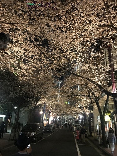 お花見 in 東京！_a0289775_18162191.jpg