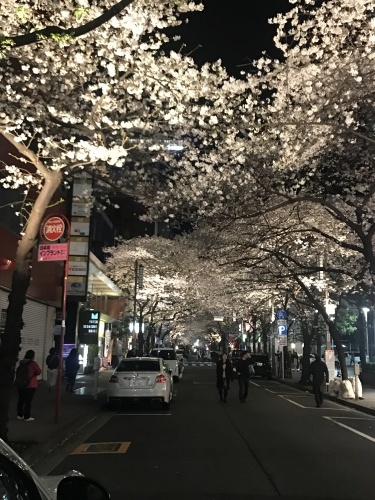 お花見 in 東京！_a0289775_18174178.jpg