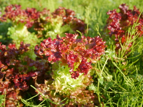 f0054677_08144080.jpg
