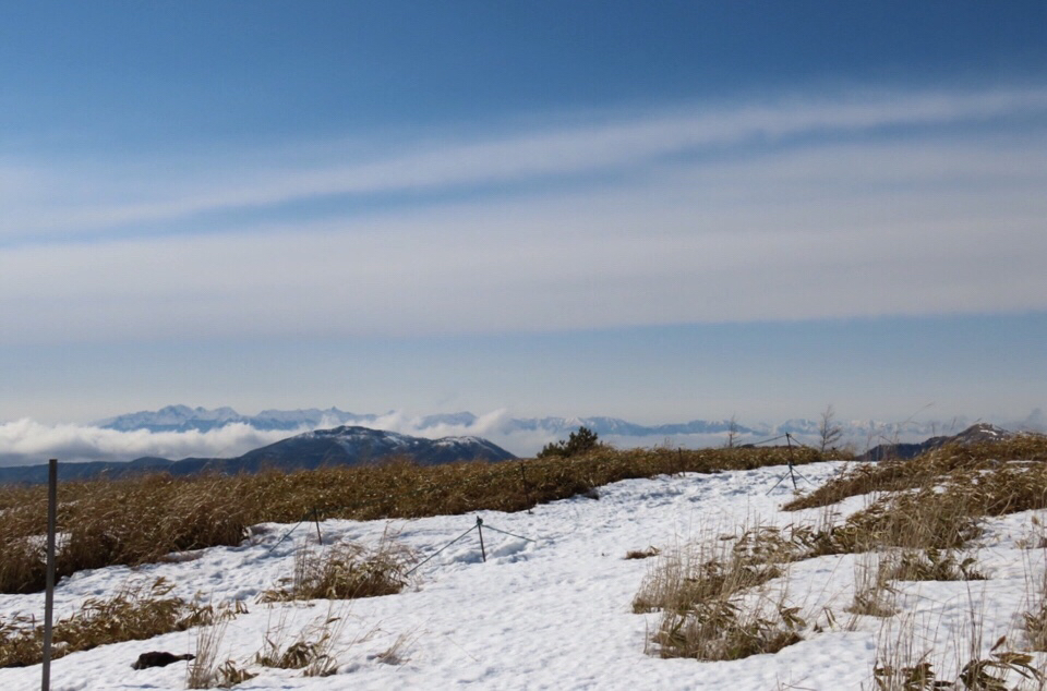 雪原の王者_a0091680_10373995.jpg