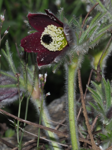 f0348480_17361609.jpg