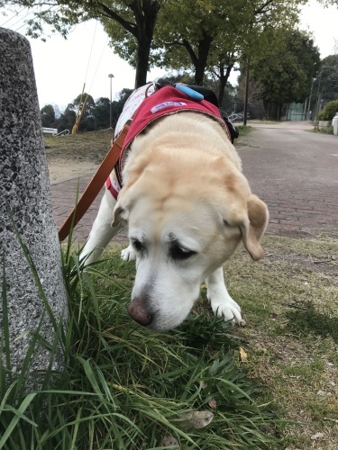 f0315081_21443226.jpeg
