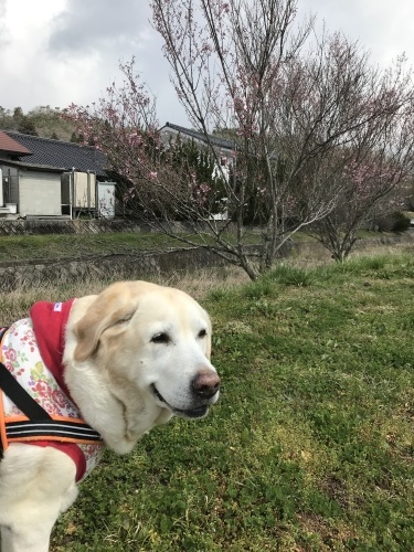 f0315081_21453979.jpeg