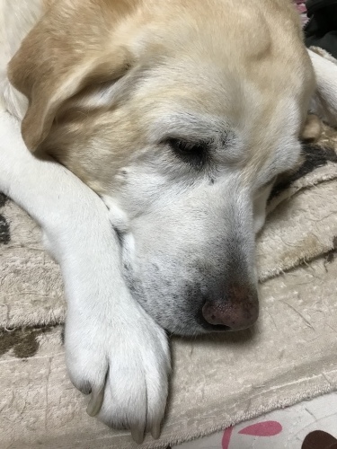 f0315081_21543055.jpeg