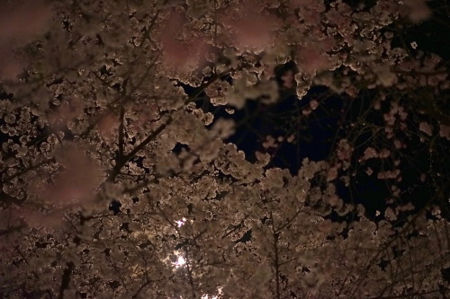 a0198883_21395264.jpg