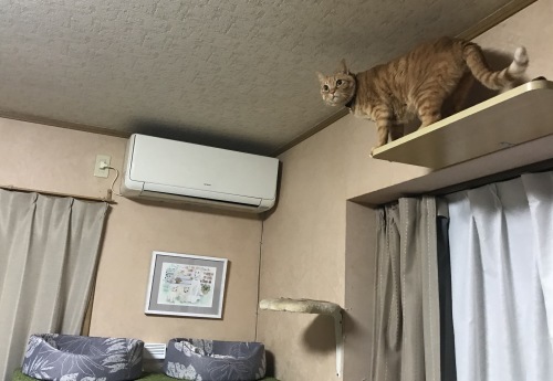 a0216583_22531069.jpeg