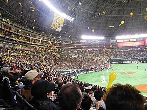 e0086885_17030839.jpg