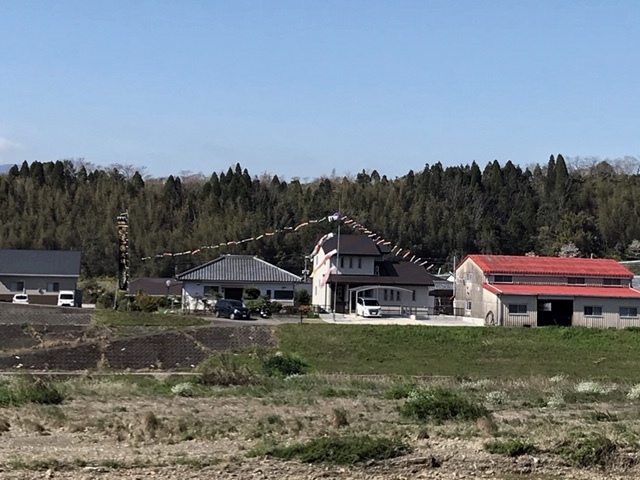 c0184491_13413826.jpeg
