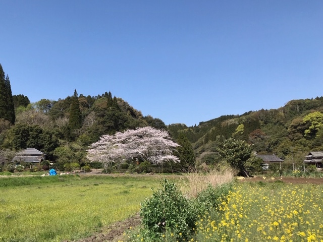 c0184491_13414765.jpeg