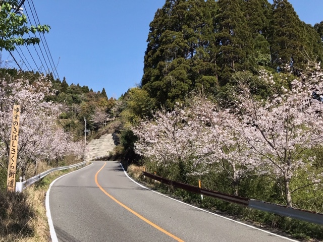 c0184491_13420718.jpeg