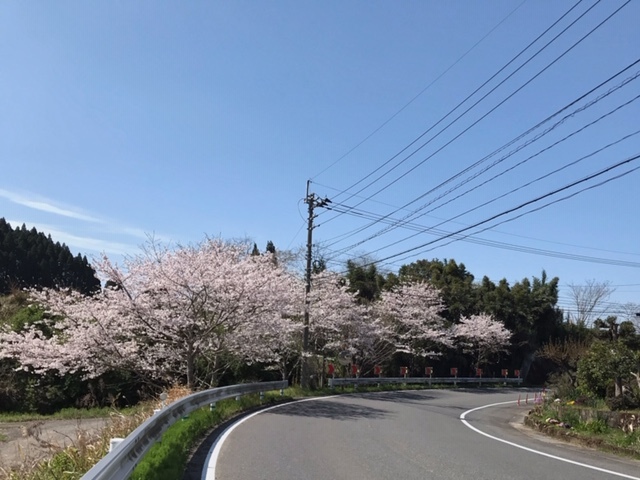 c0184491_13424123.jpeg