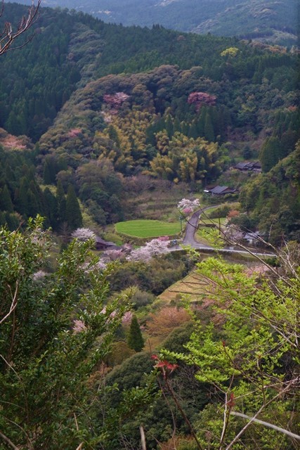 d0181492_00291017.jpg