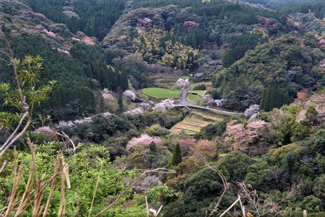 d0181492_00300179.jpg