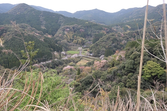 d0181492_00361775.jpg