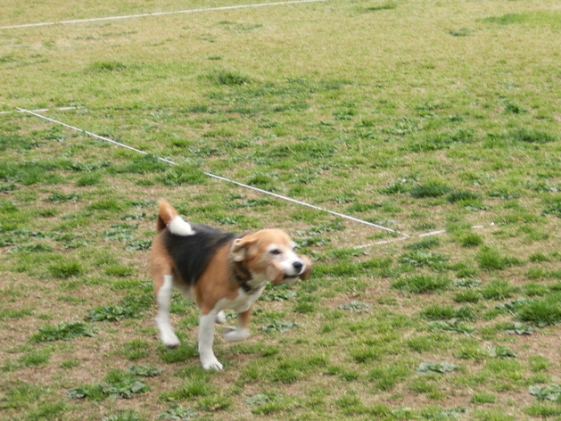 a0319693_8405650.jpg