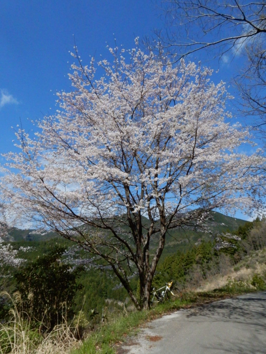 a0143296_15230286.jpg