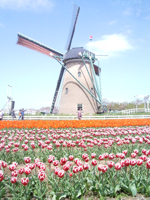 e0025300_21523018.jpg