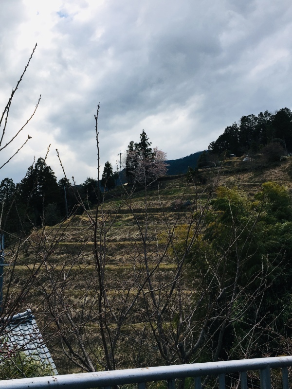 b0220002_16431182.jpeg
