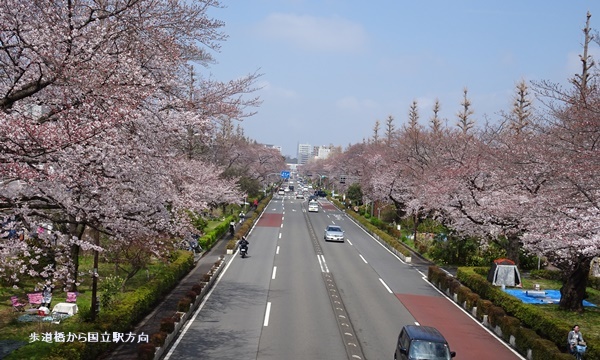 c0051105_00053594.jpg