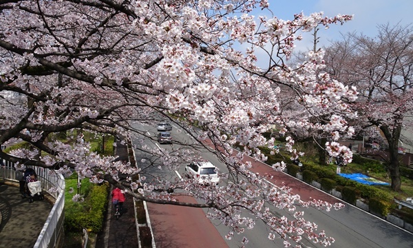 c0051105_00114244.jpg