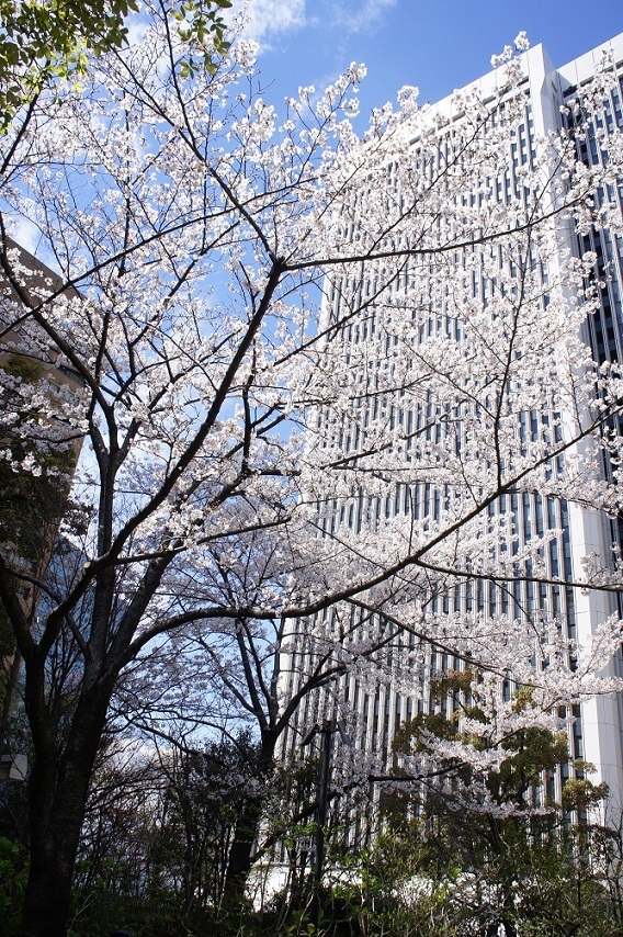 b0112909_18171269.jpg