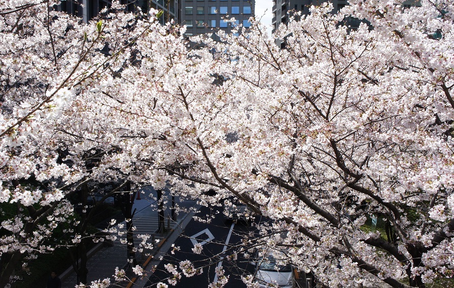 b0112909_18272458.jpg